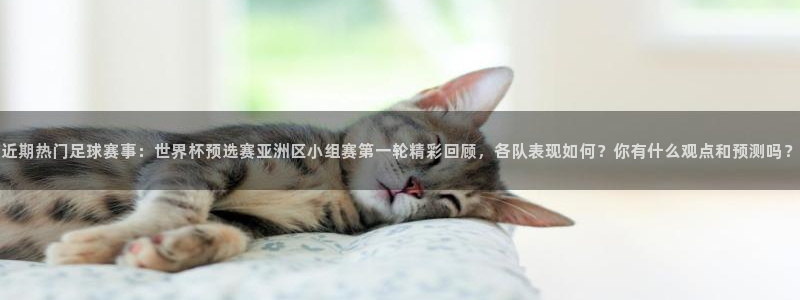  近期热门足球赛事：世界杯预选赛亚洲区小组赛第一轮精彩回顾，各
