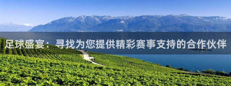 足球盛宴：寻找为您提供精彩赛事支持的合作伙伴