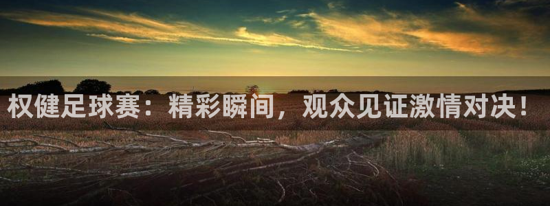 权健足球赛：精彩瞬间，观众见证激情对决！