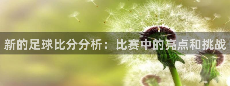 新的足球比分分析：比赛中的亮点和挑战