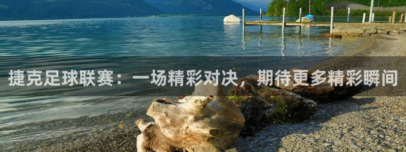  捷克足球联赛：一场精彩对决，期待更多精彩瞬间