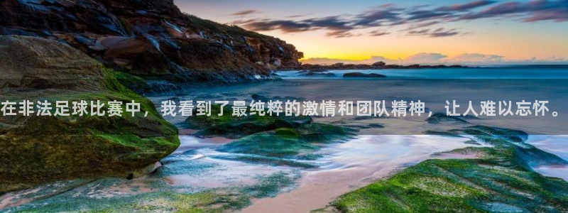 在非法足球比赛中，我看到了最纯粹的激情和团队精神，让人难以忘
