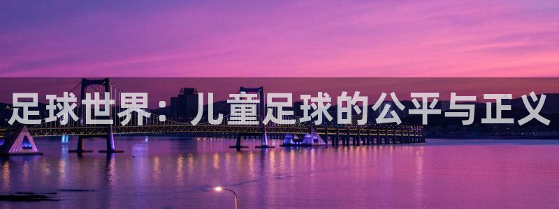  足球世界：儿童足球的公平与正义