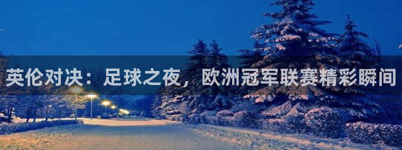 英伦对决：足球之夜，欧洲冠军联赛精彩瞬间