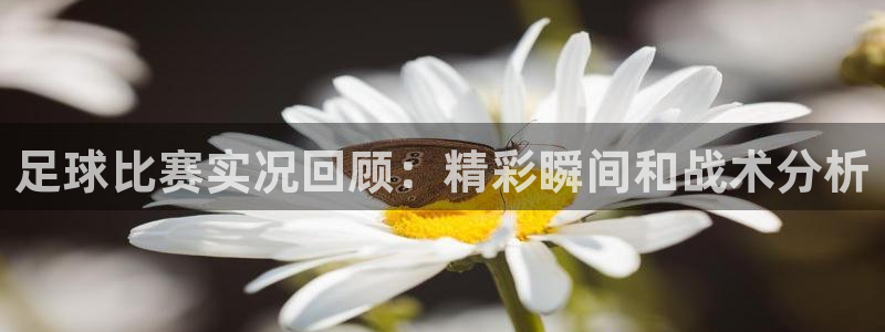  足球比赛实况回顾：精彩瞬间和战术分析