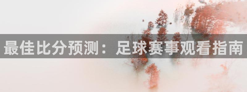  最佳比分预测：足球赛事观看指南