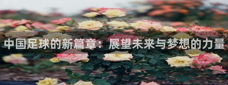 中国足球的新篇章：展望未来与梦想的力量