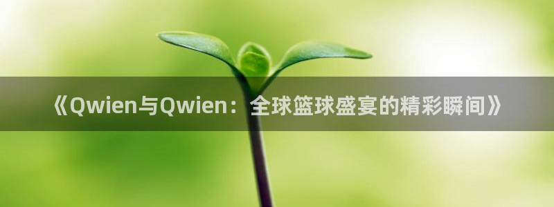  《Qwien与Qwien：全球篮球盛宴的精彩瞬间》