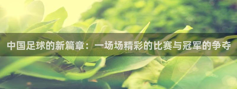 中国足球的新篇章：一场场精彩的比赛与冠军的争夺