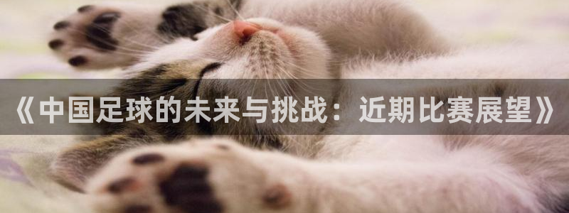 《中国足球的未来与挑战：近期比赛展望》