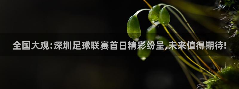 全国大观:深圳足球联赛首日精彩纷呈,未来值得期待!