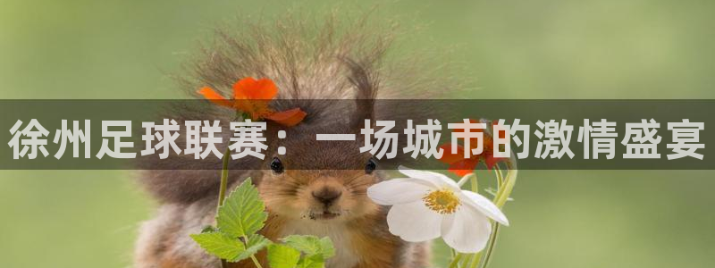  徐州足球联赛：一场城市的激情盛宴
