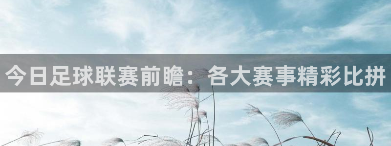 今日足球联赛前瞻：各大赛事精彩比拼