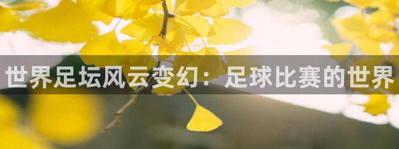 世界足坛风云变幻：足球比赛的世界