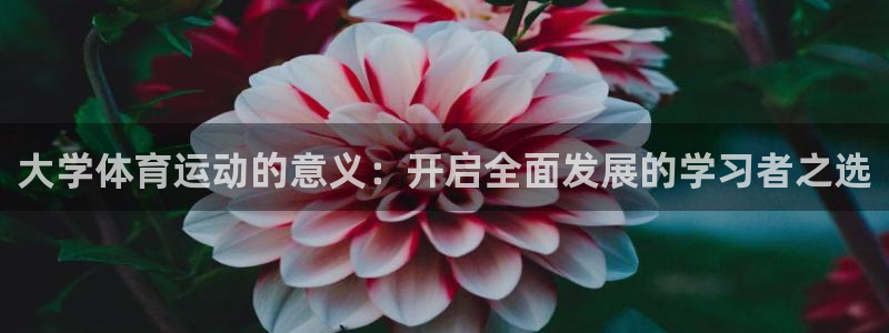 球王会体育