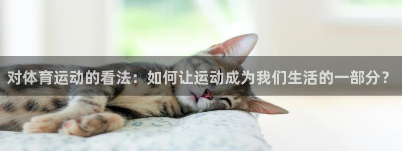 球王会体育