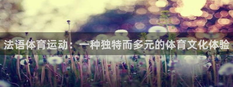 球王会体育