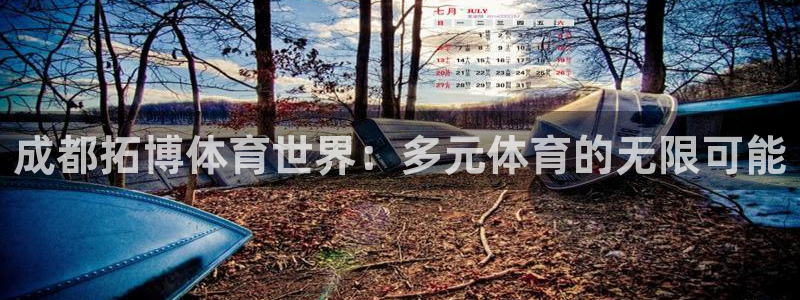 球王会体育