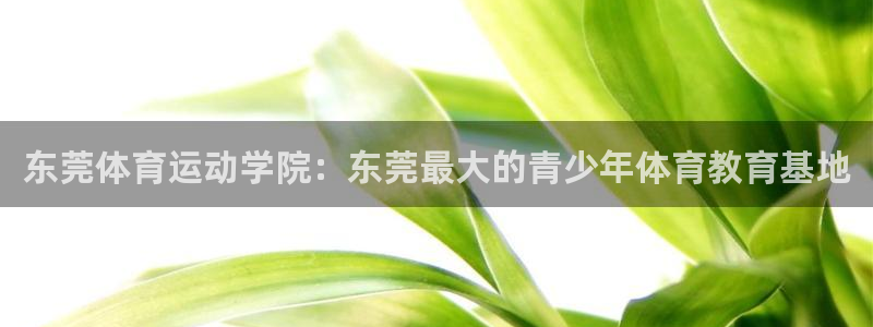 球王会体育