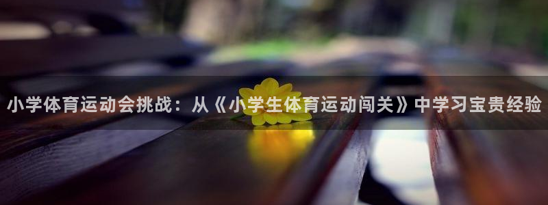 球王会体育