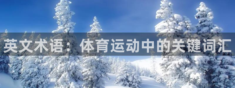 球王会体育
