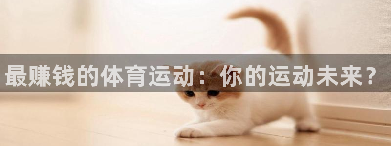 球王会体育