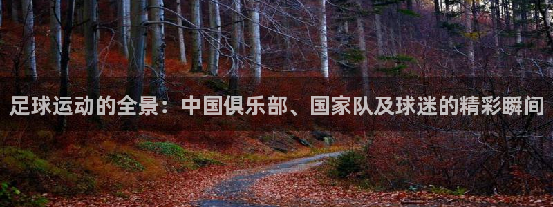 足球运动的全景：中国俱乐部、国家队及