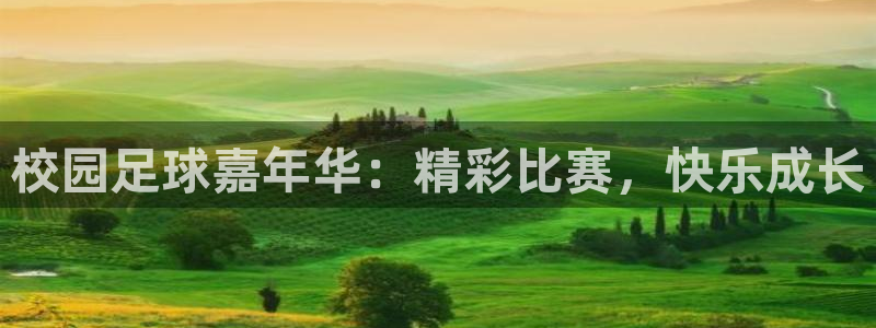 校园足球嘉年华：精彩比赛，快乐成长