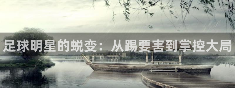足球明星的蜕变：从踢要害到掌控大局