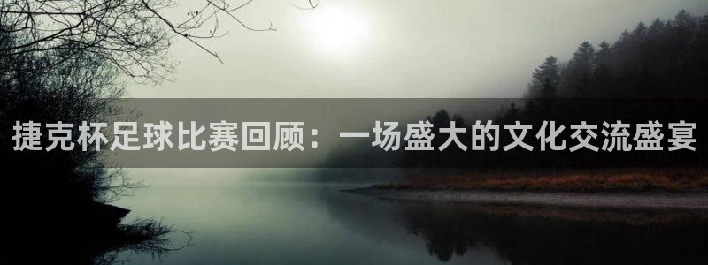 捷克杯足球比赛回顾：一场盛大的文化交