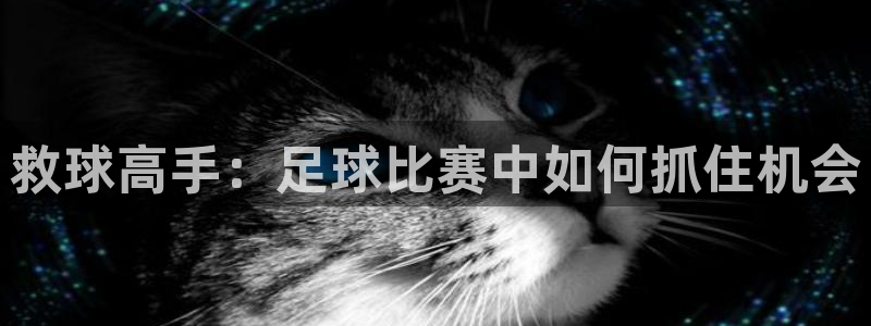 救球高手：足球比赛中如何抓住机会