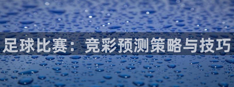 足球比赛：竞彩预测策略与技巧