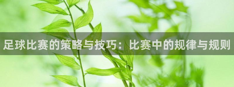 足球比赛的策略与技巧：比赛中的规律与