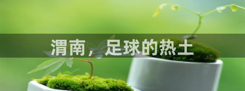 渭南，足球的热土