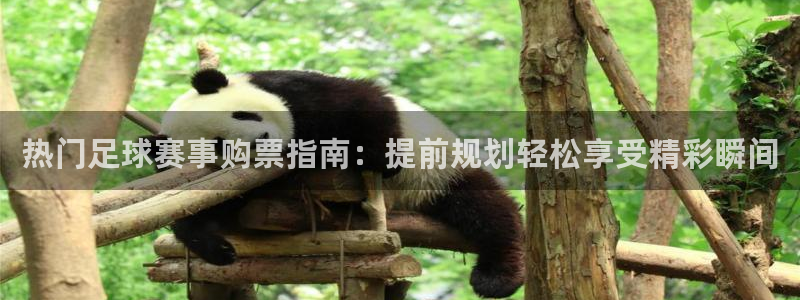 热门足球赛事购票指南：提前规划轻松享