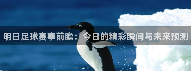 明日足球赛事前瞻：今日的精彩瞬间与未来预测