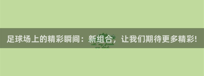 足球场上的精彩瞬间：新组合，让我们期