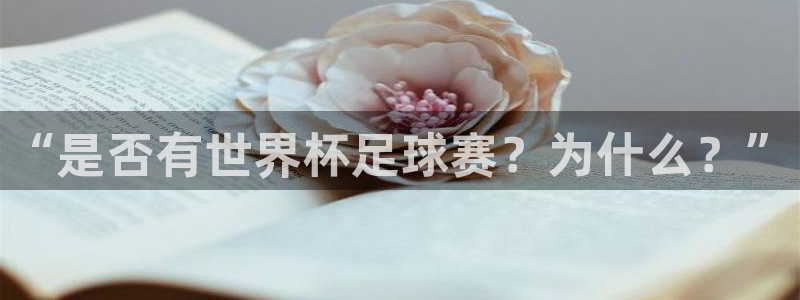 “是否有世界杯足球赛？为什么？”