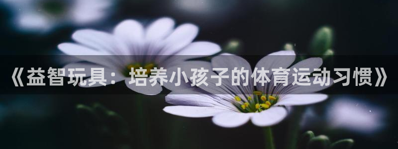 球王会体育
