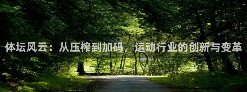 球王会体育