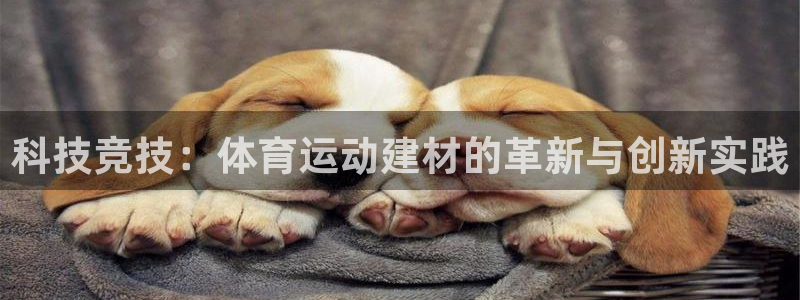 球王会体育